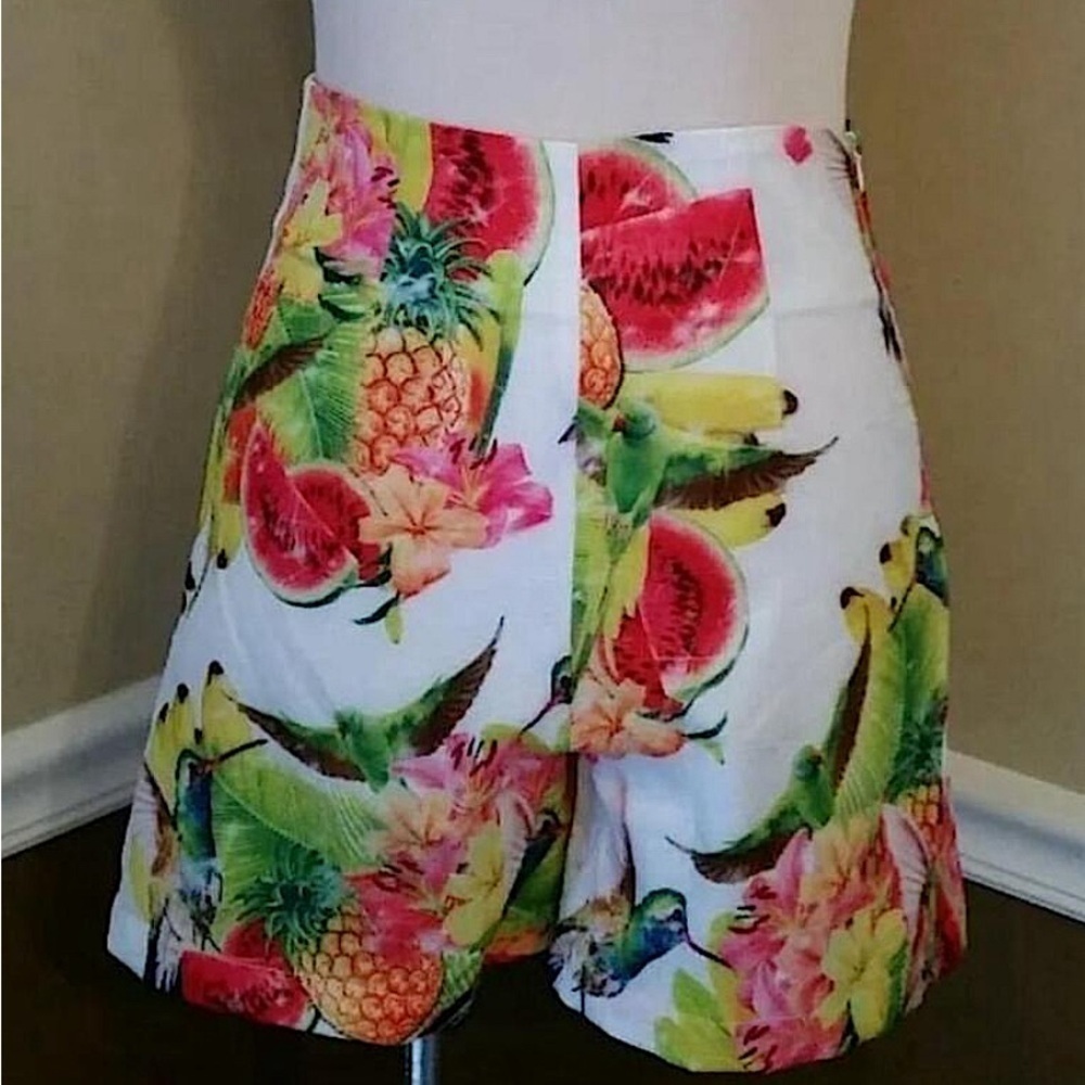 Shorts Fruit Birds & Flowers High Waisted Retro Pinup by Kuccia from ModCloth XS